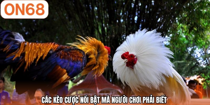 Các kèo cược nổi bật mà người chơi phải biết 